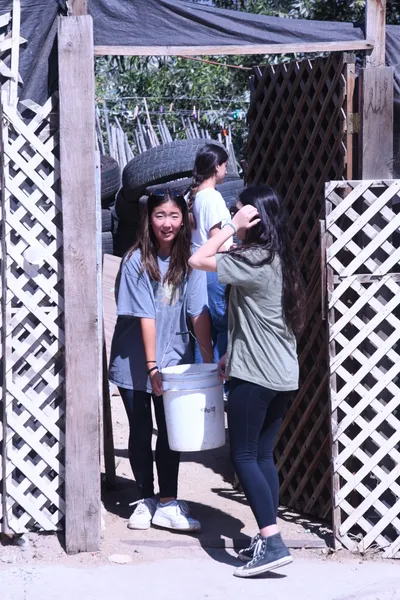 DSC_2037 (Large).JPG